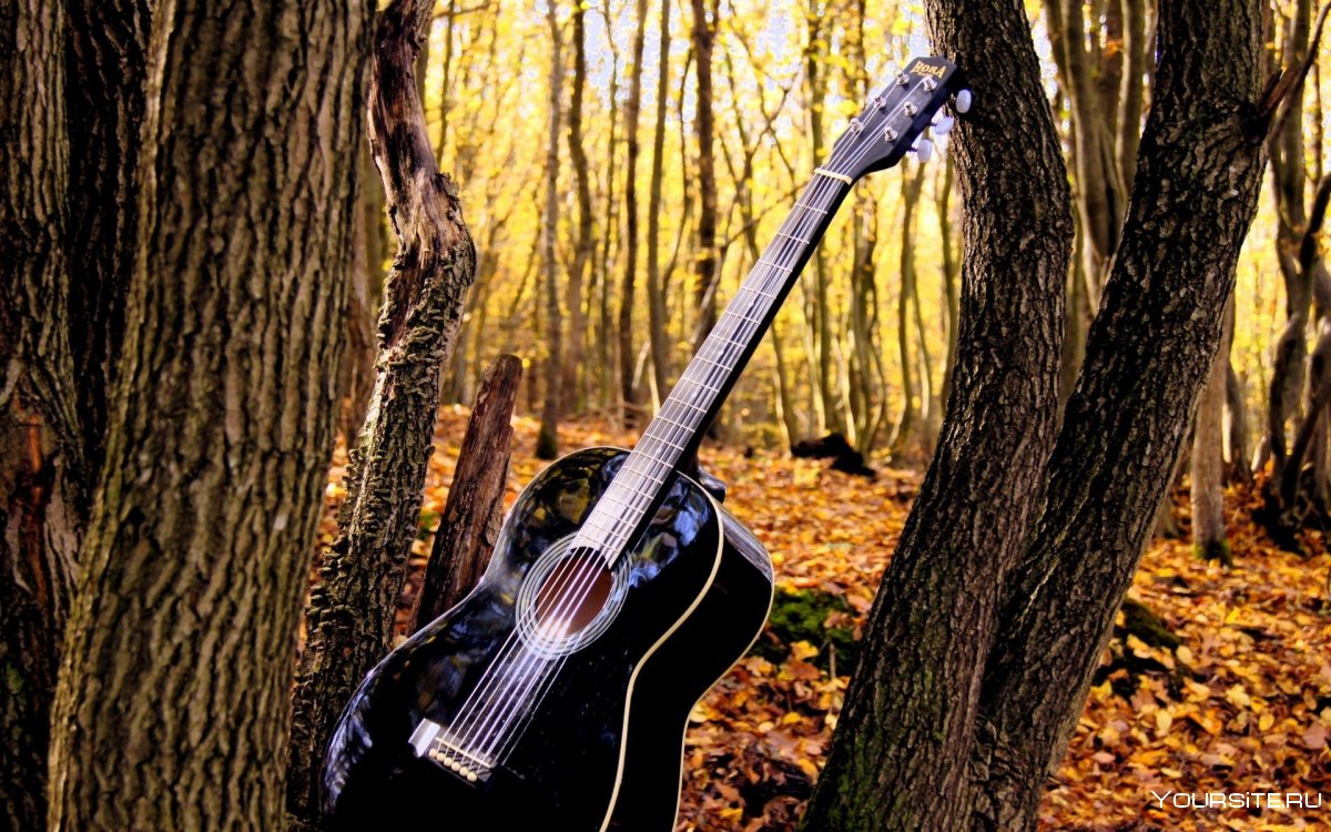 Гитара на природе
