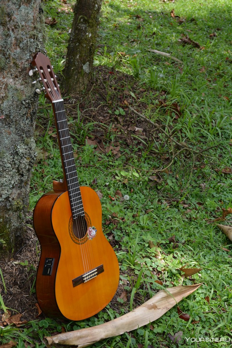 Гитара лес Пауэлл XS