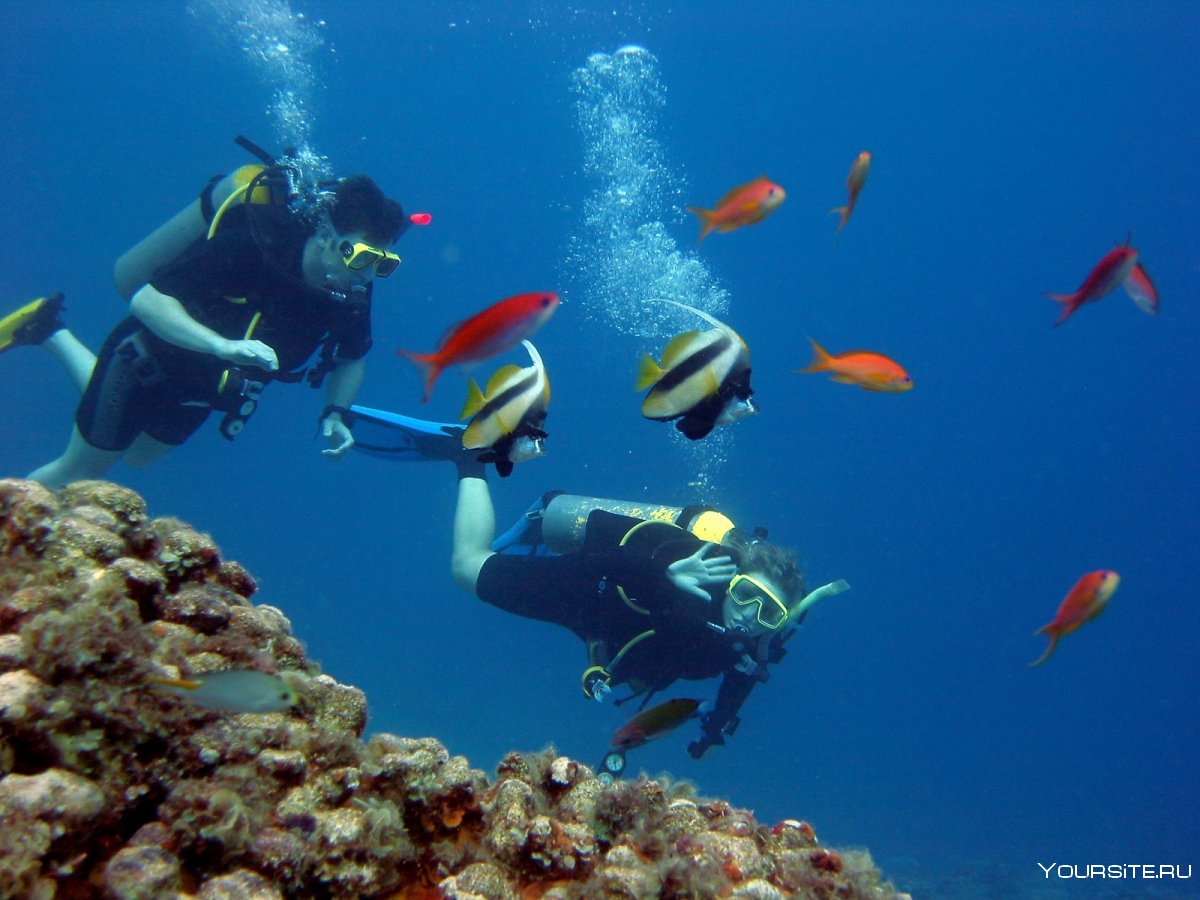 Red Sea Divers Hurghada