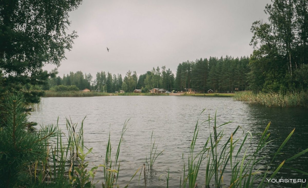 Озеро Вериговское Тосненский район