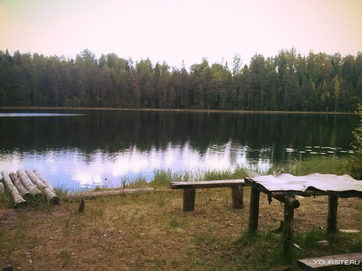 Озеро белое Тосненский район