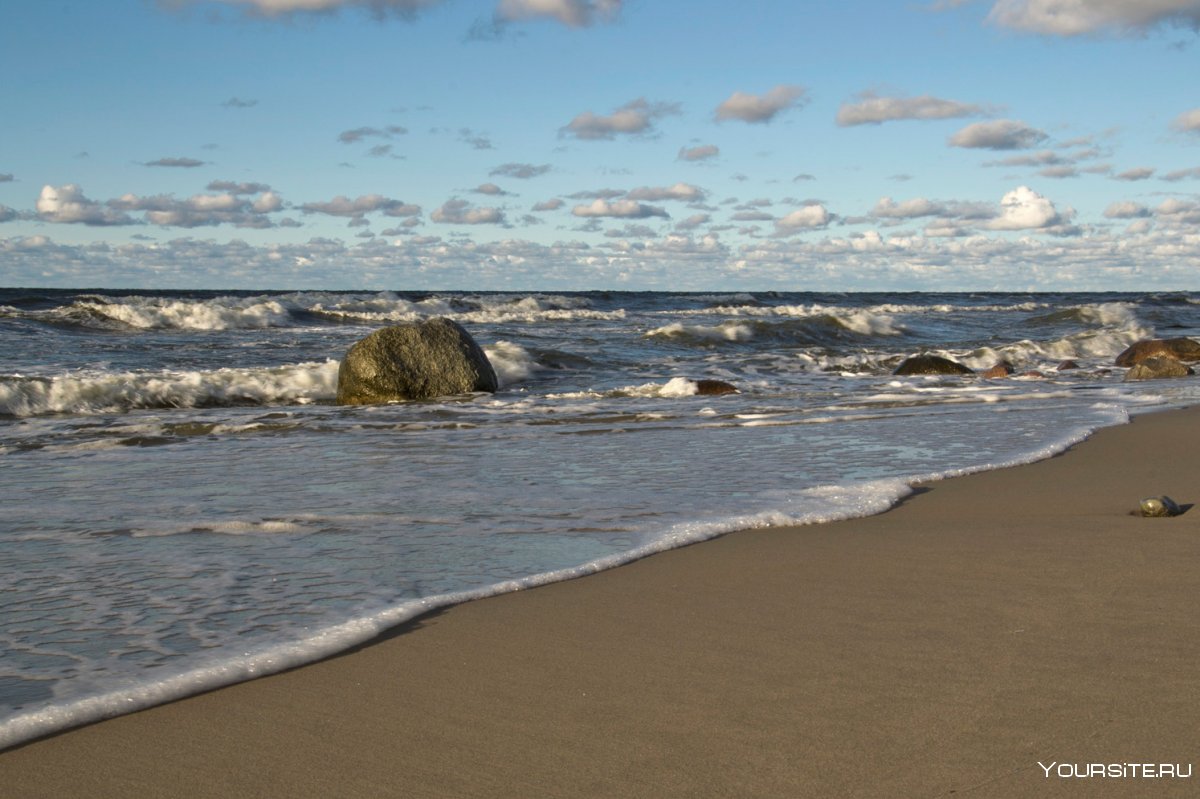 Балтийское море пляж Светлогорск