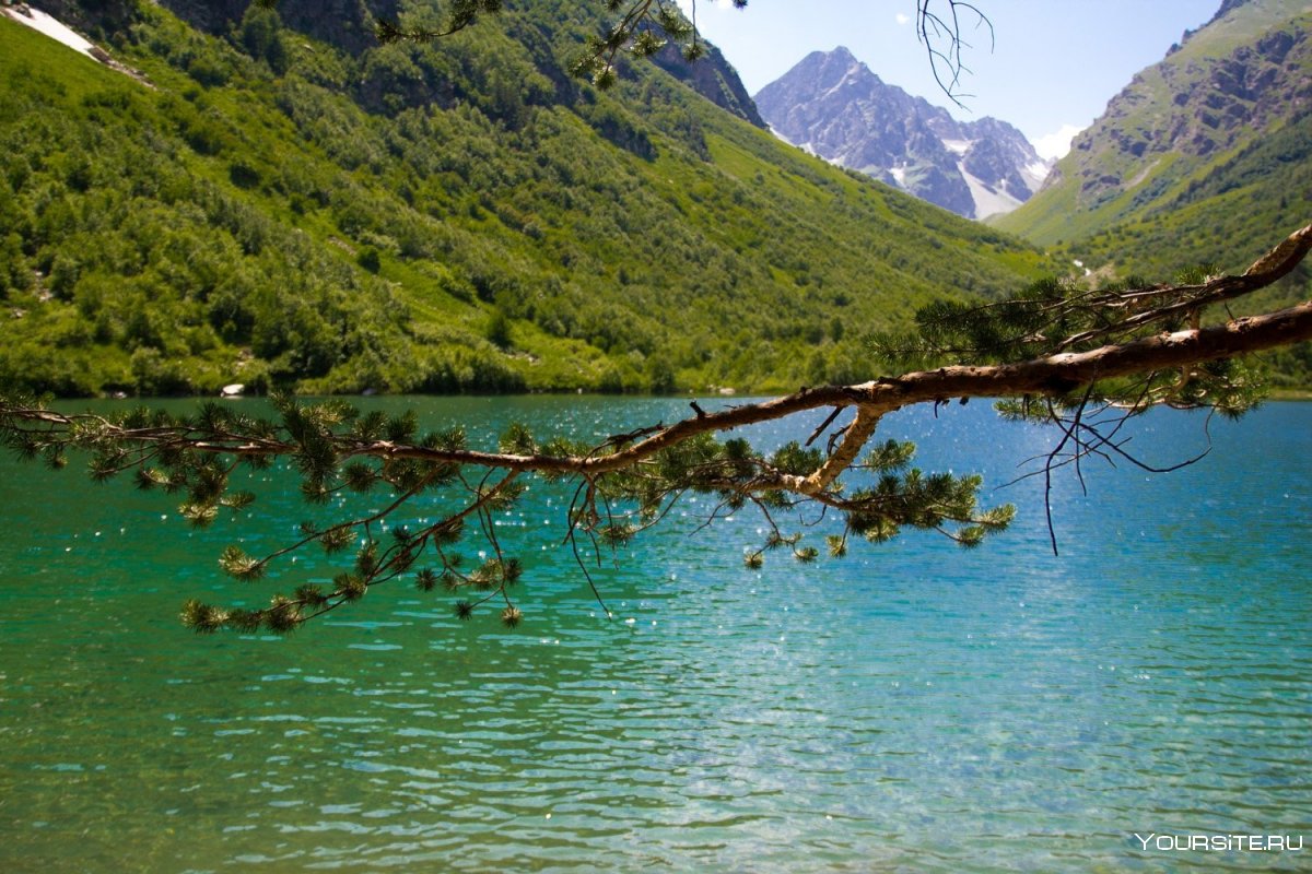 Подножье горы Чегет