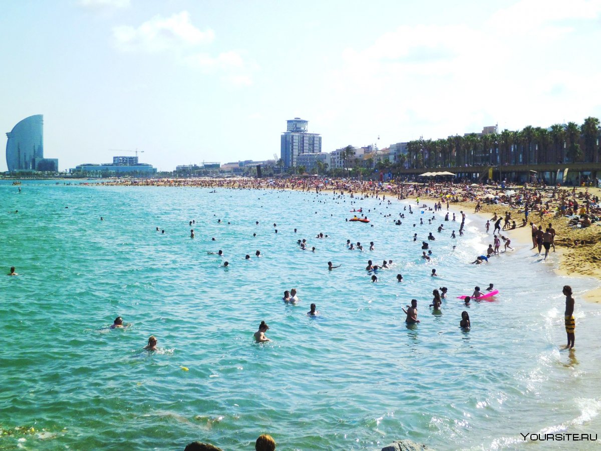 Barceloneta Beach