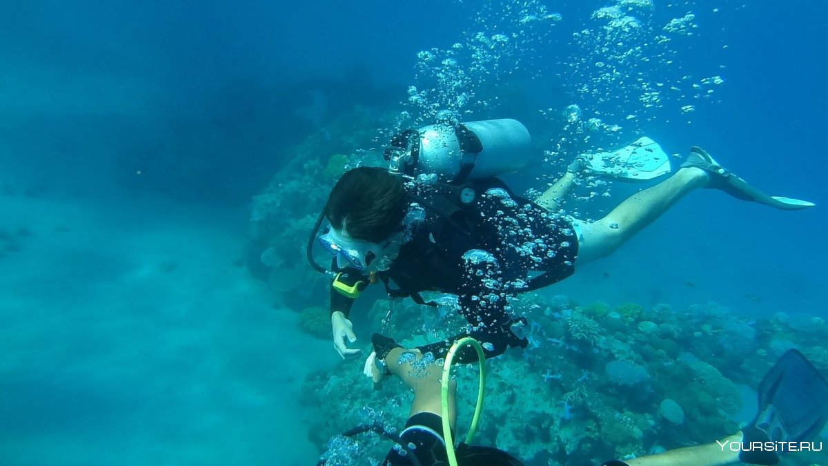 Подводное плавание с аквалангом