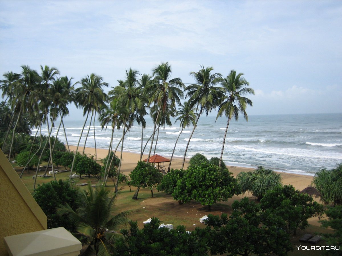 Ваддува Шри Ланка