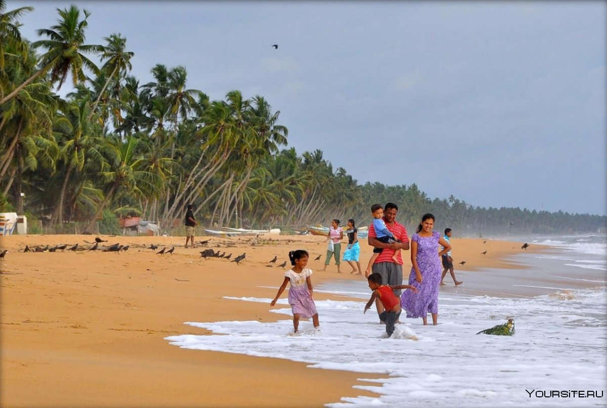 Остров Цейлон Шри Ланка пляжи