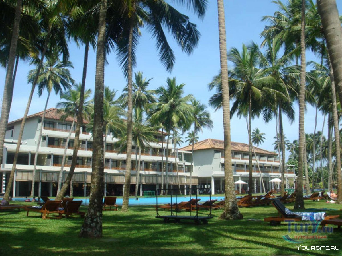 Tangerine Beach Hotel 4 Шри-Ланка Калутара