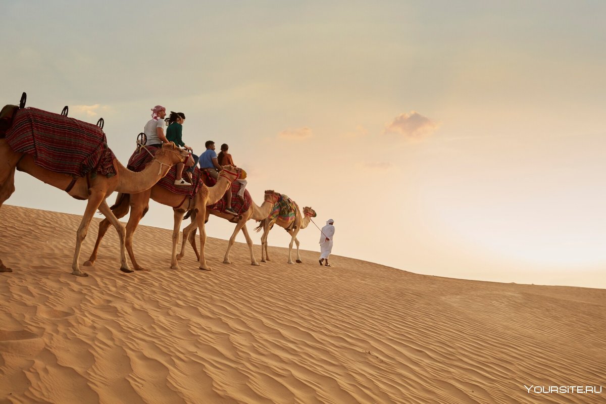 Дубай пустыня экскурсия