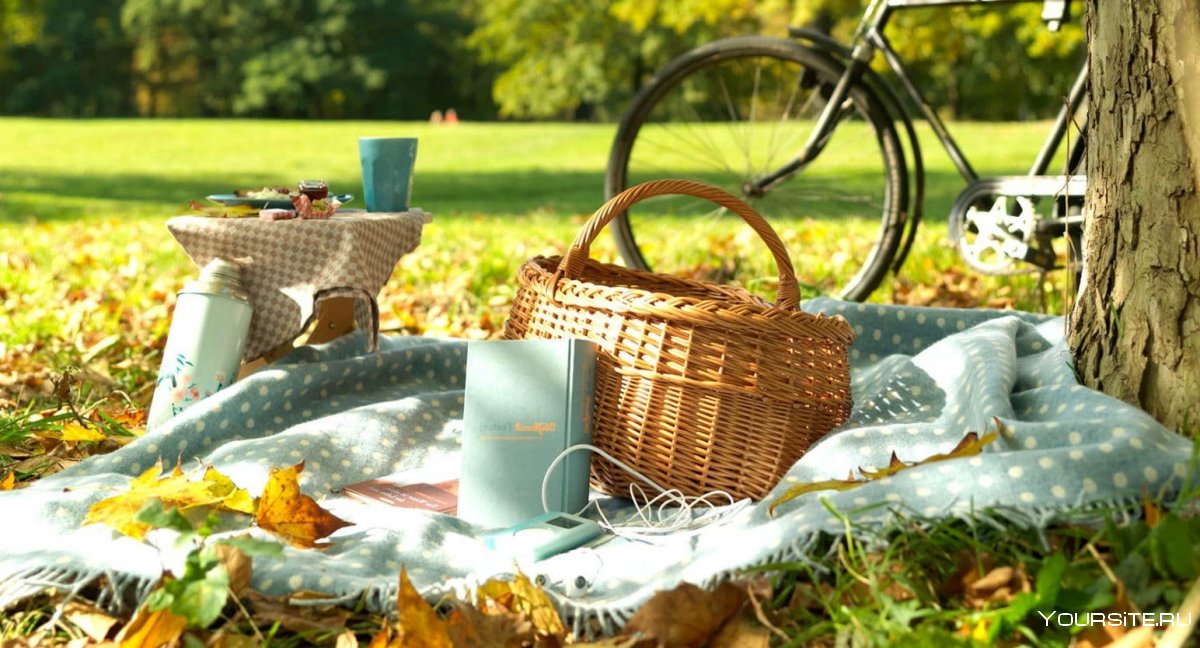 Пикник на природе летом