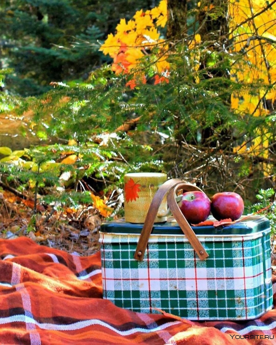 Пикник в Турции