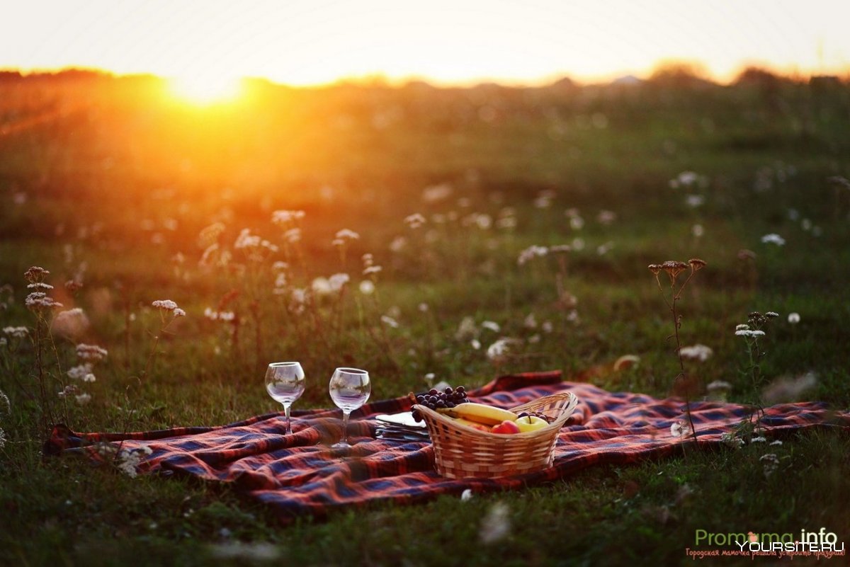 Пикник с семьей на природе