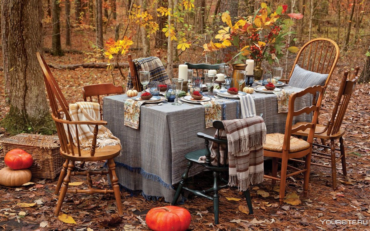 Пикник на природе