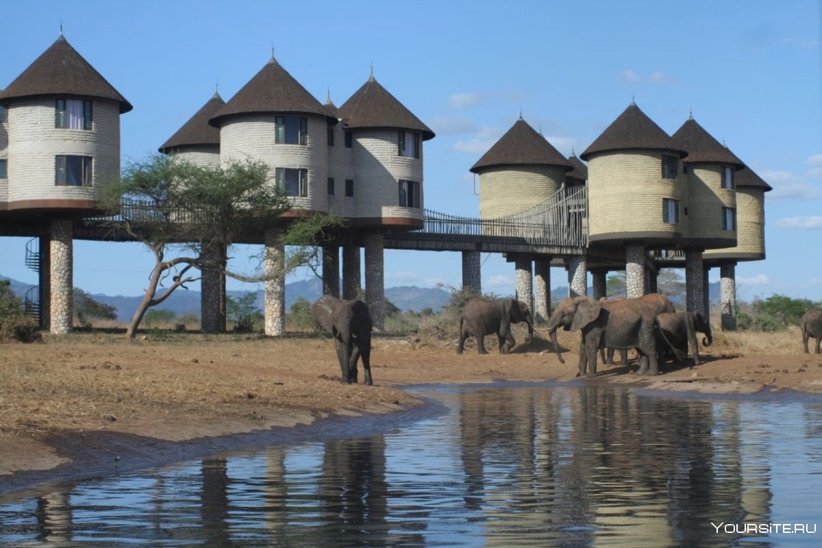 Сафари-отель Сарова Солтлик (Sarova Saltlick game Lodge), Кения