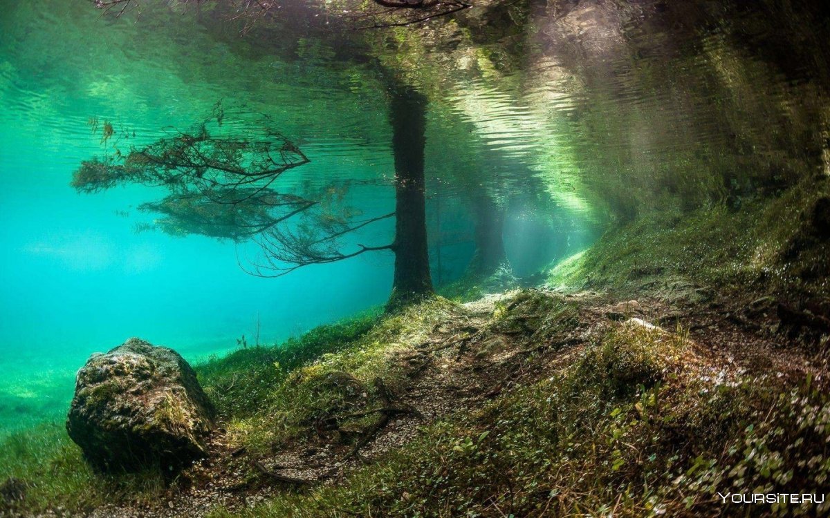 Подводный парк “Грюнер Зее”