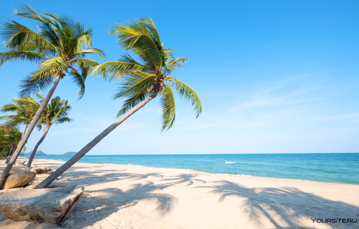 Морской пляж с пальмами