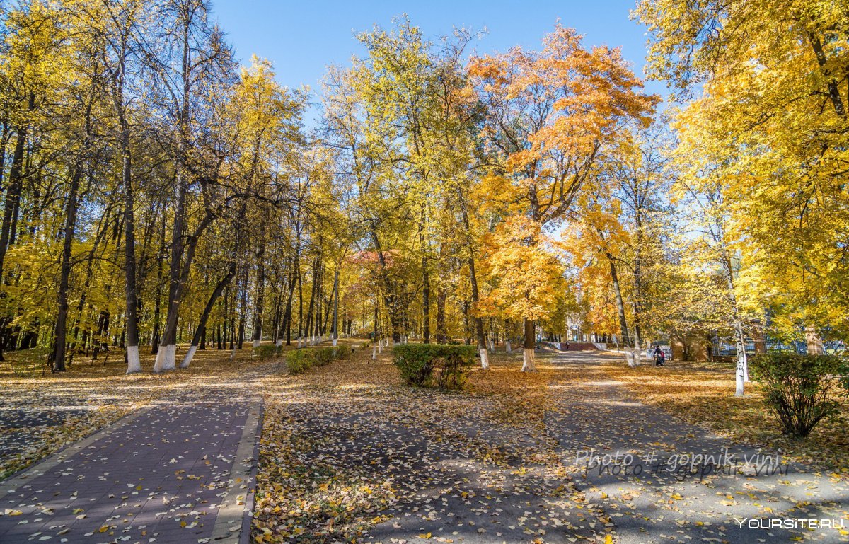 Парк Калинина Калининград осень