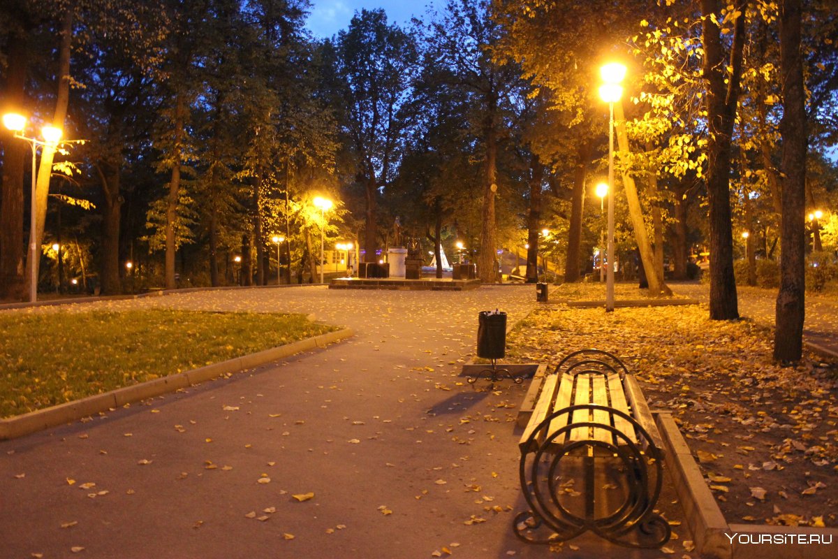 Ленинский парк Павловск Воронежская область осень