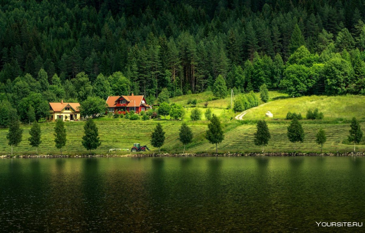 Фахверк Швейцария горы озеро лес лето