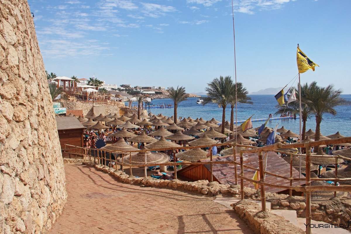 Египет шармаль Шейх