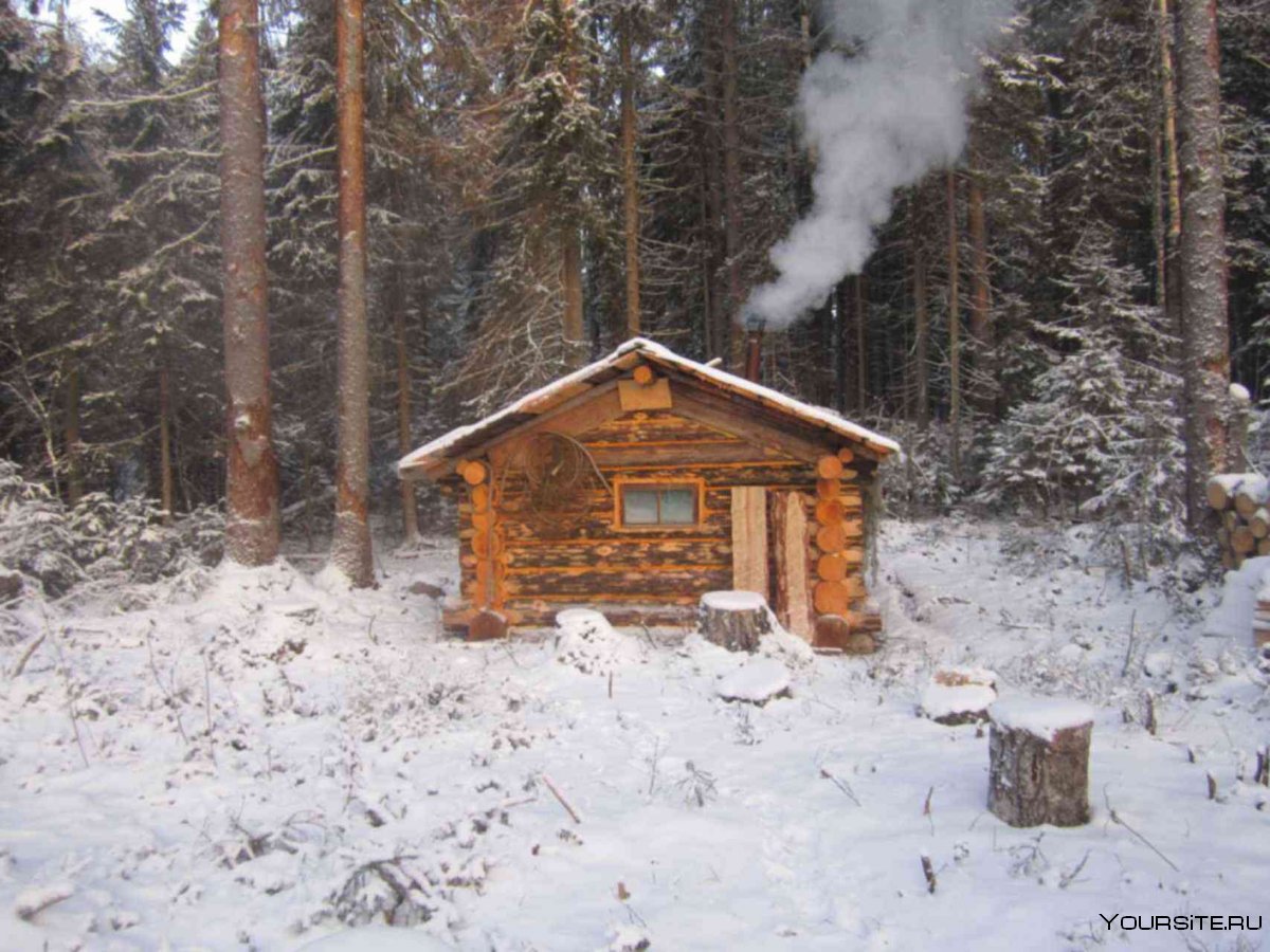 Хижина штата Мэн