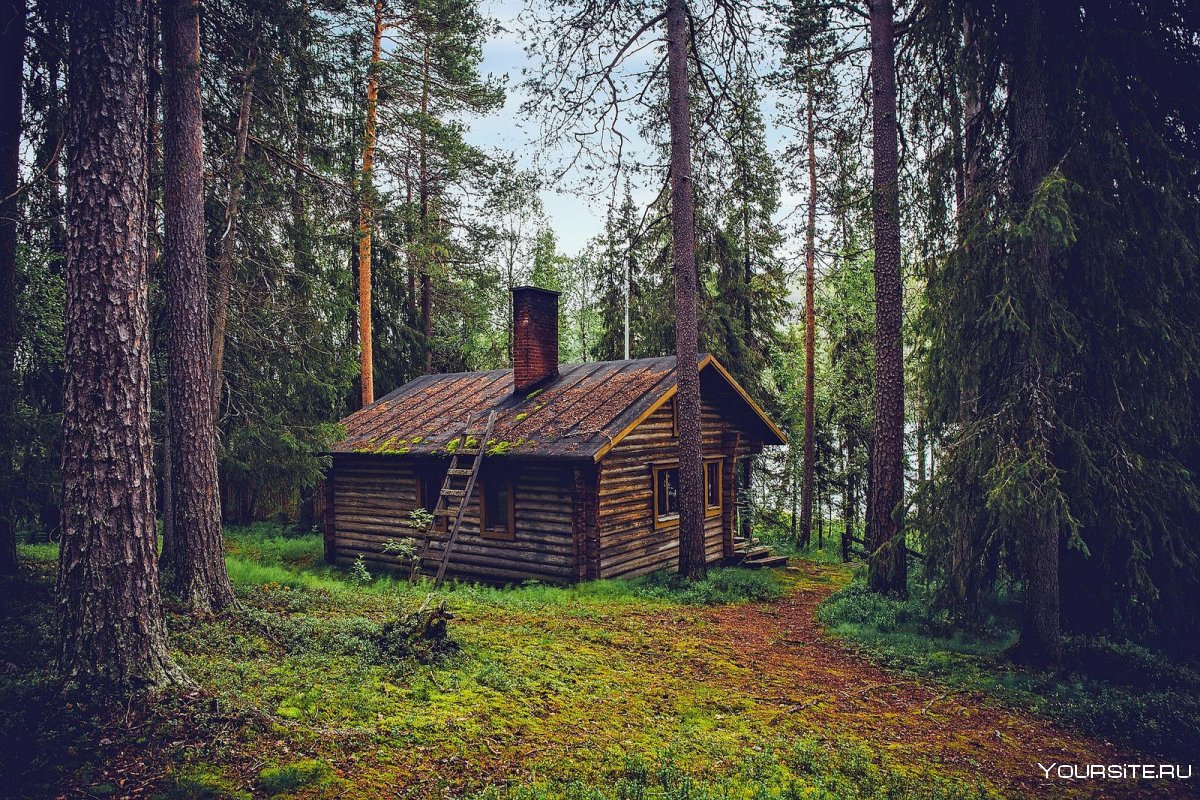 «Домик в глуши»