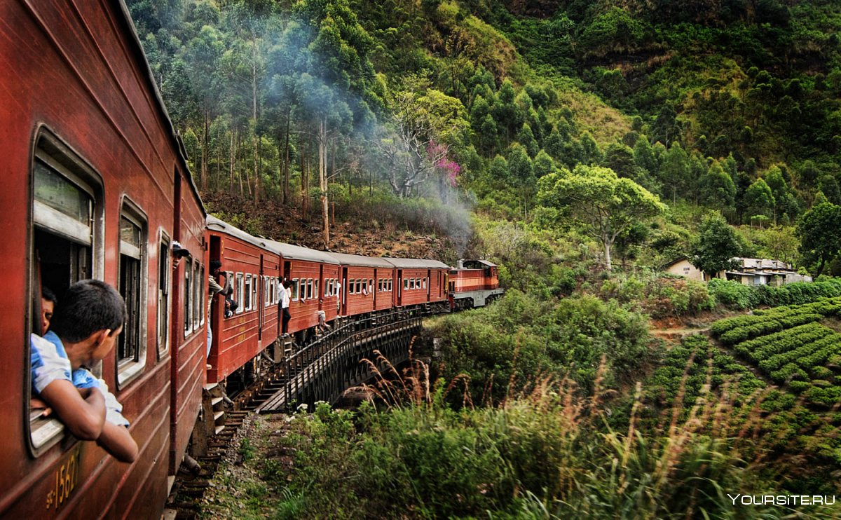 Поезд на Шри Ланке