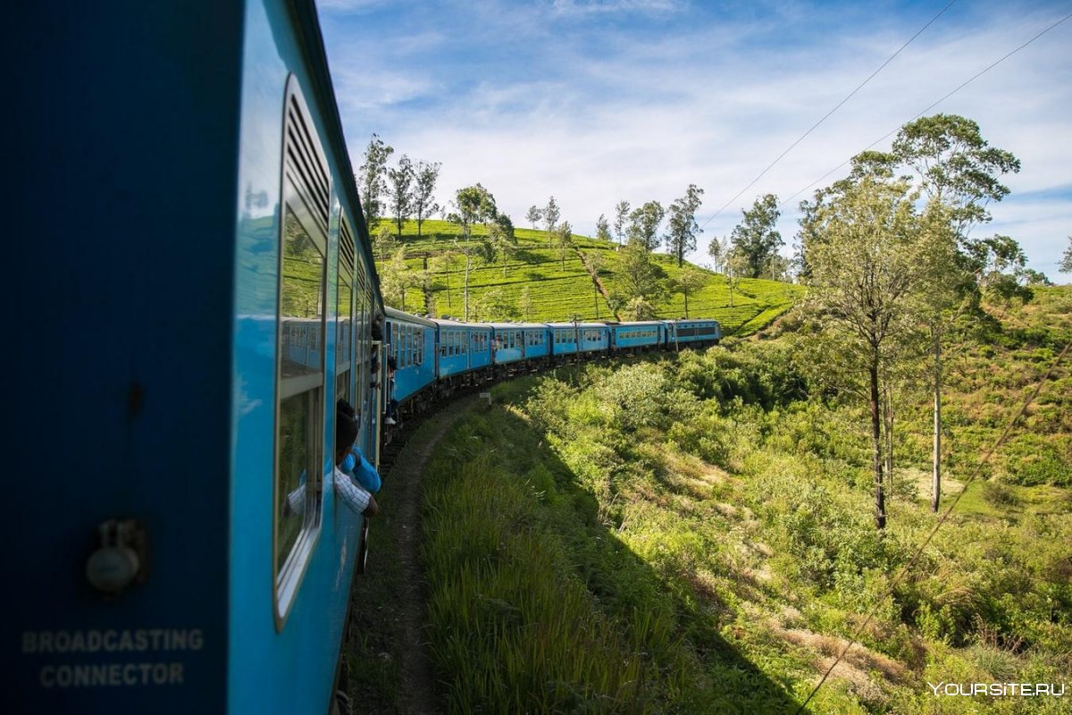 Нувара Элия Шри Ланка поезд
