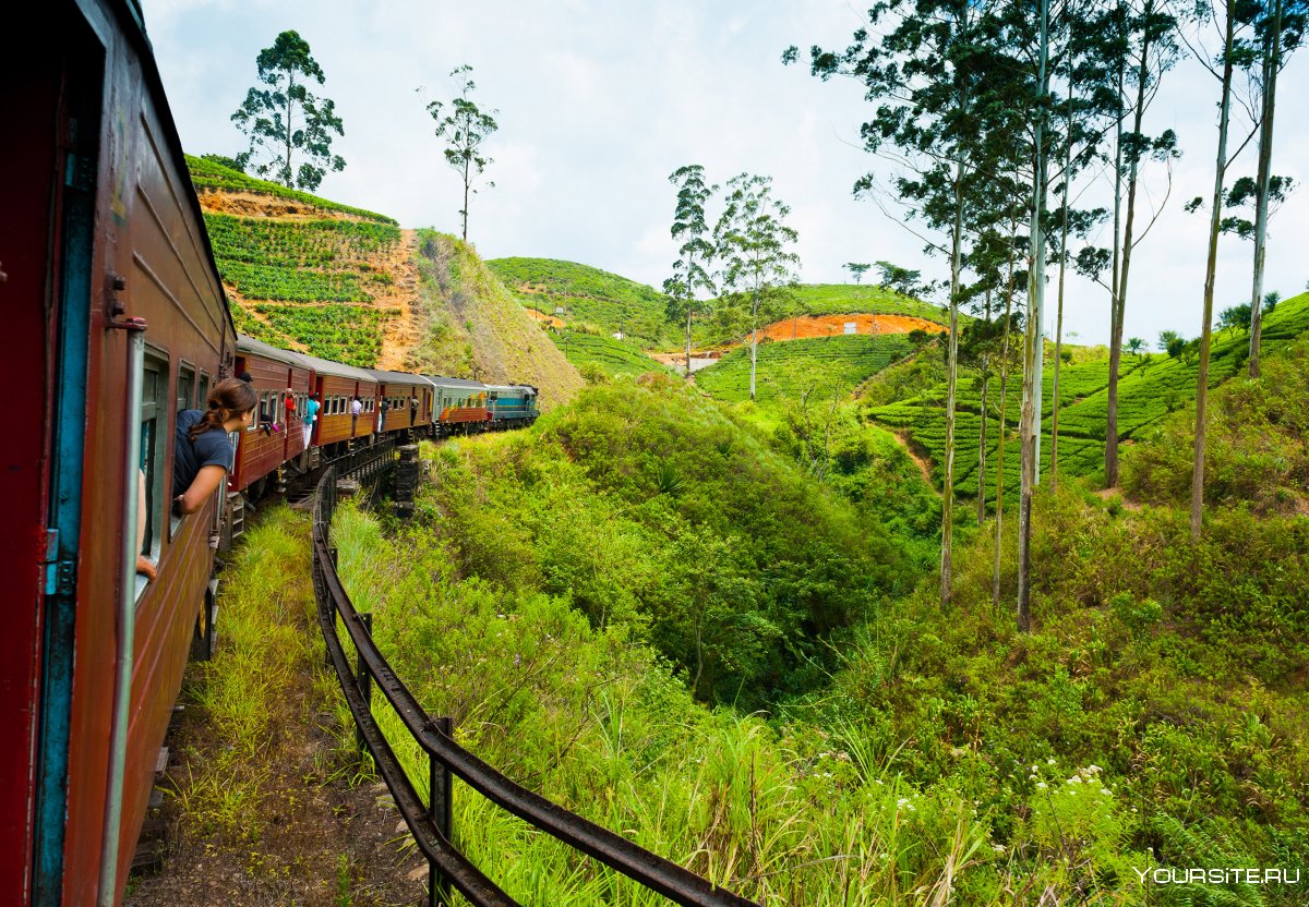 Шри Ланка поезд