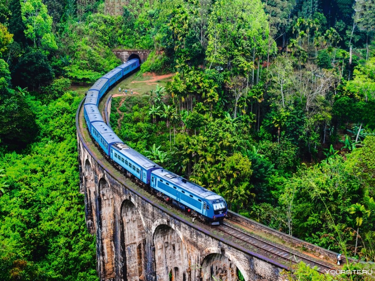 Шри Ланка чайные плантации поезд