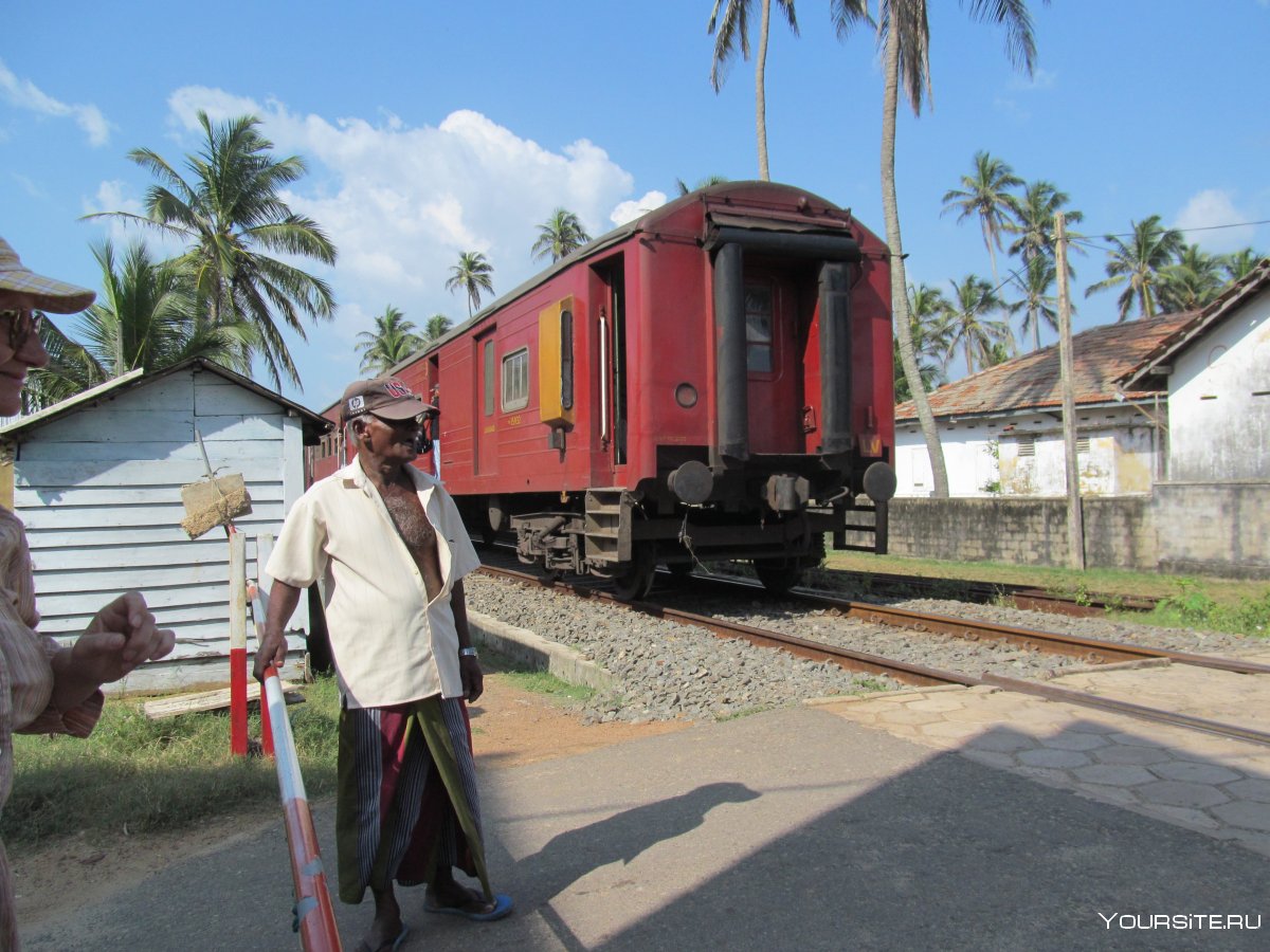 Шри Ланка самостоятельное путешествие