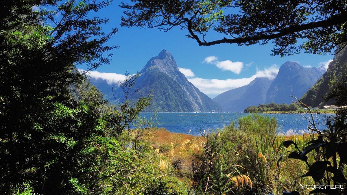 Новая Зеландия национальный парк поунини