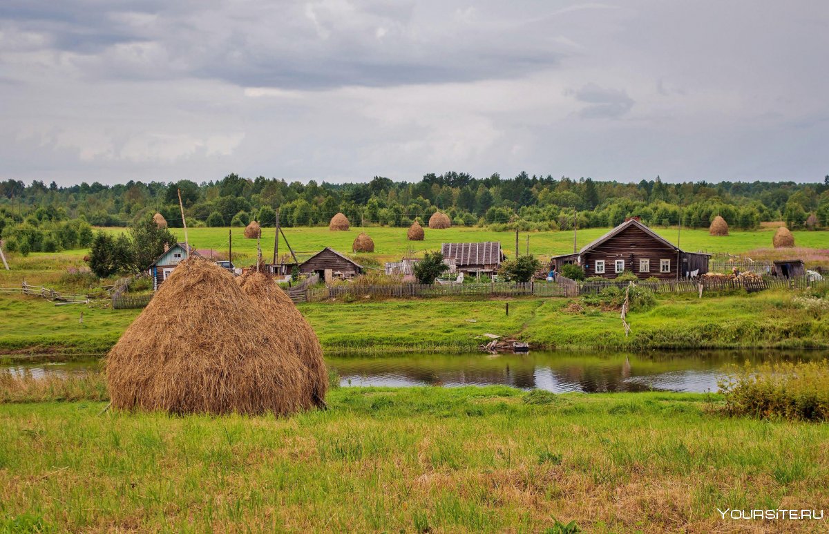 Вологодская область деревня Мегра
