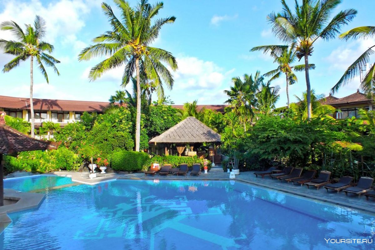 Отель с пальмой Бали