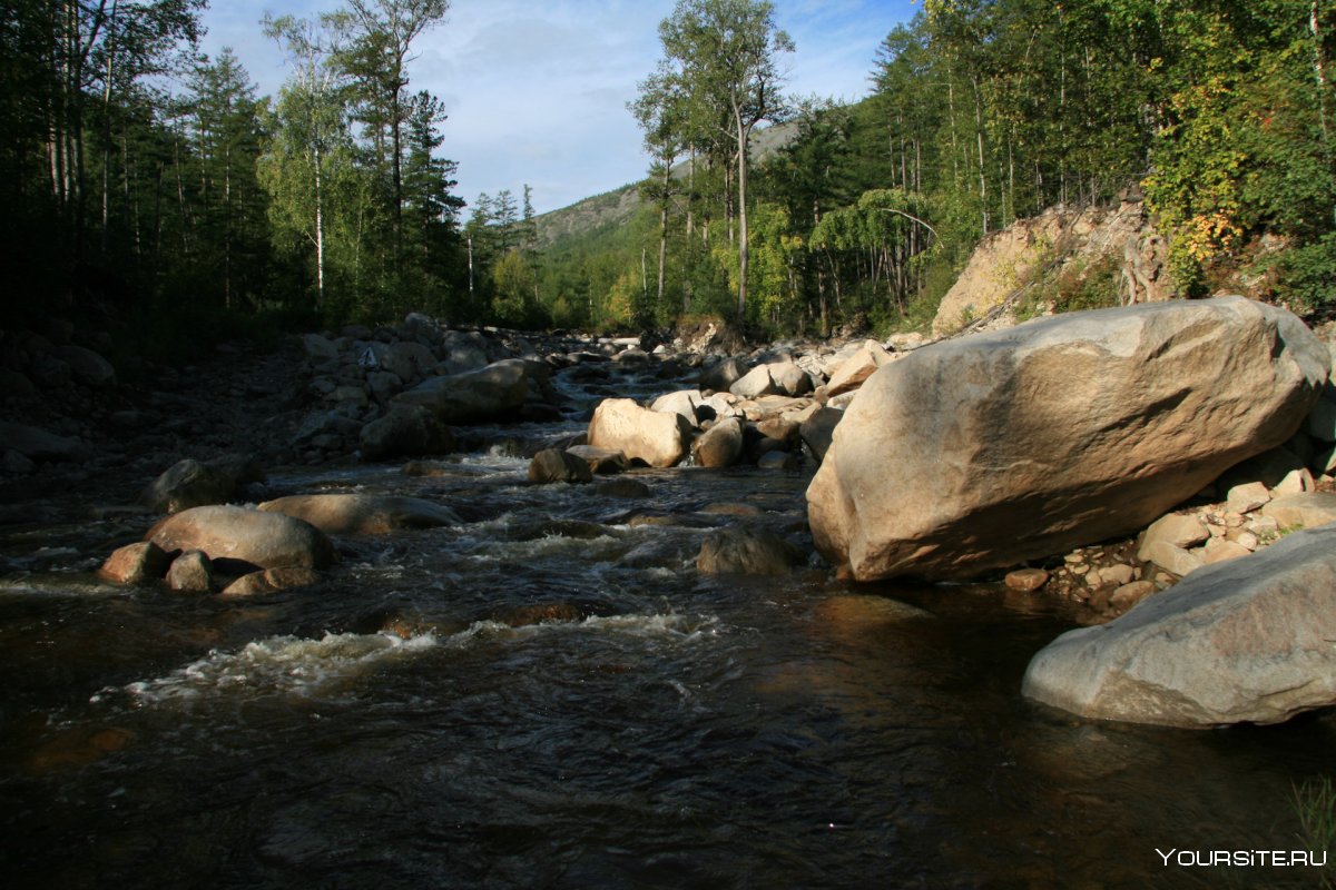 Джергинский заповедник Флора