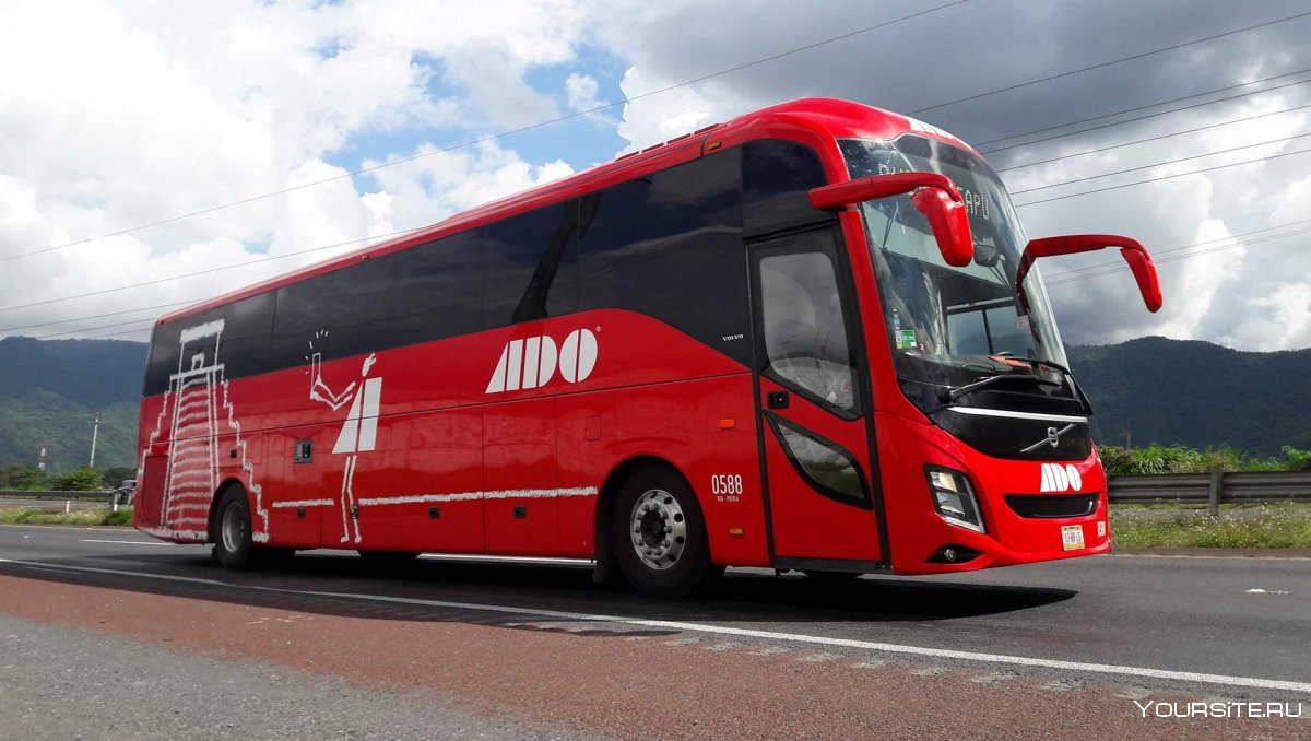 Volvo Bus 2019