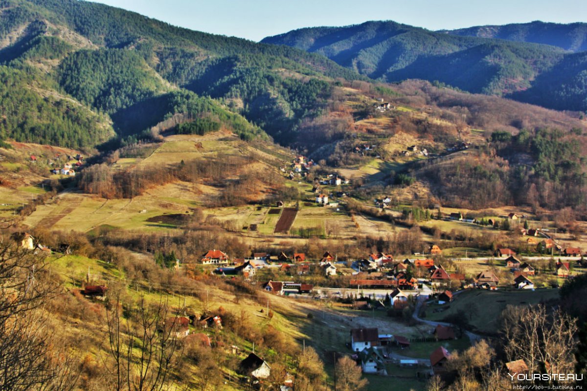 Кустендорф Сербия
