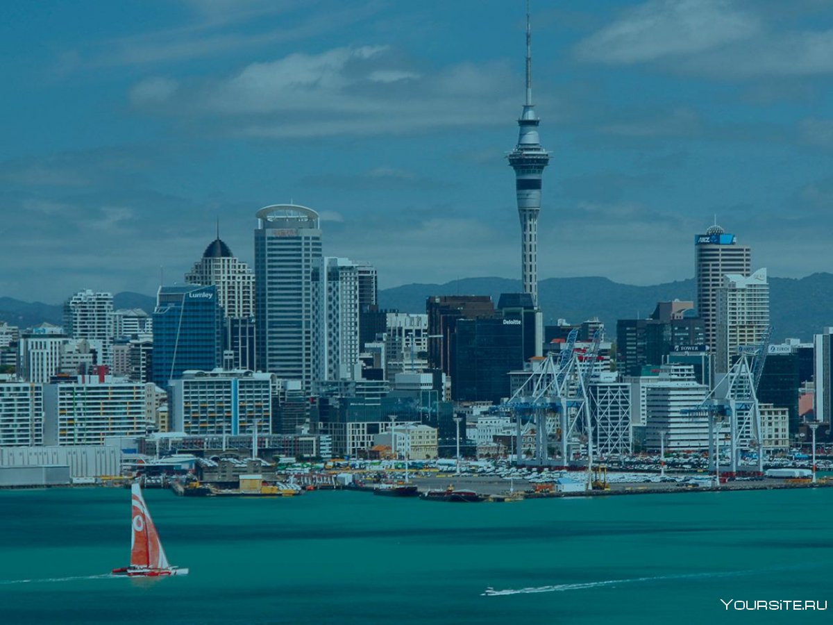 Tourism New Zealand website reading answers