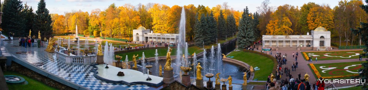Вырица осень
