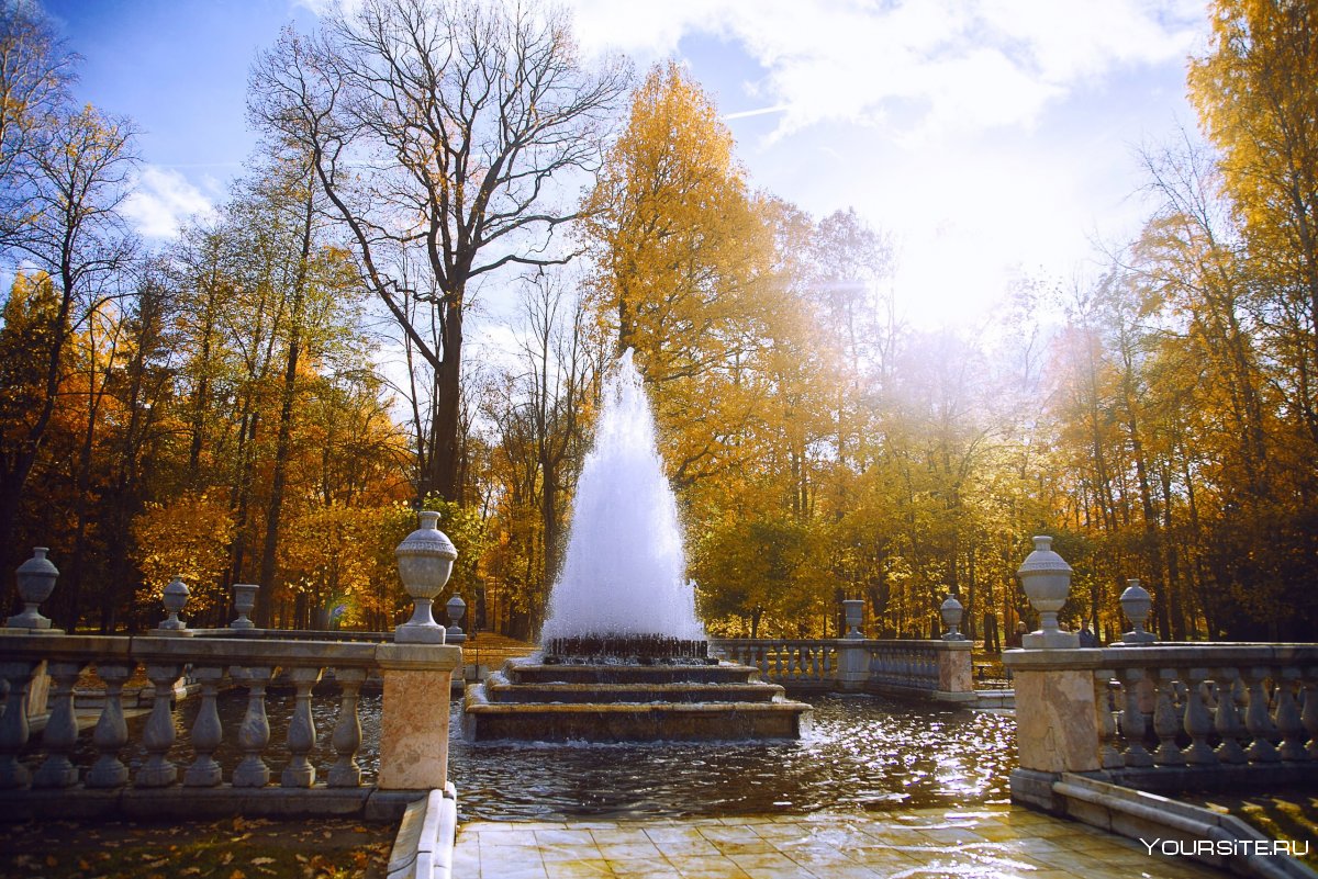 Пейзажи осени Петергофа