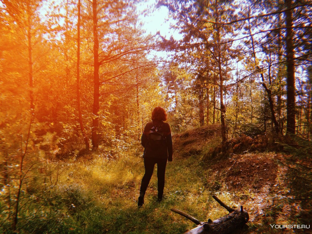 Поход в лес осенью