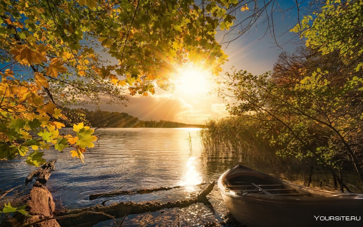 Золотая осень река Ишим
