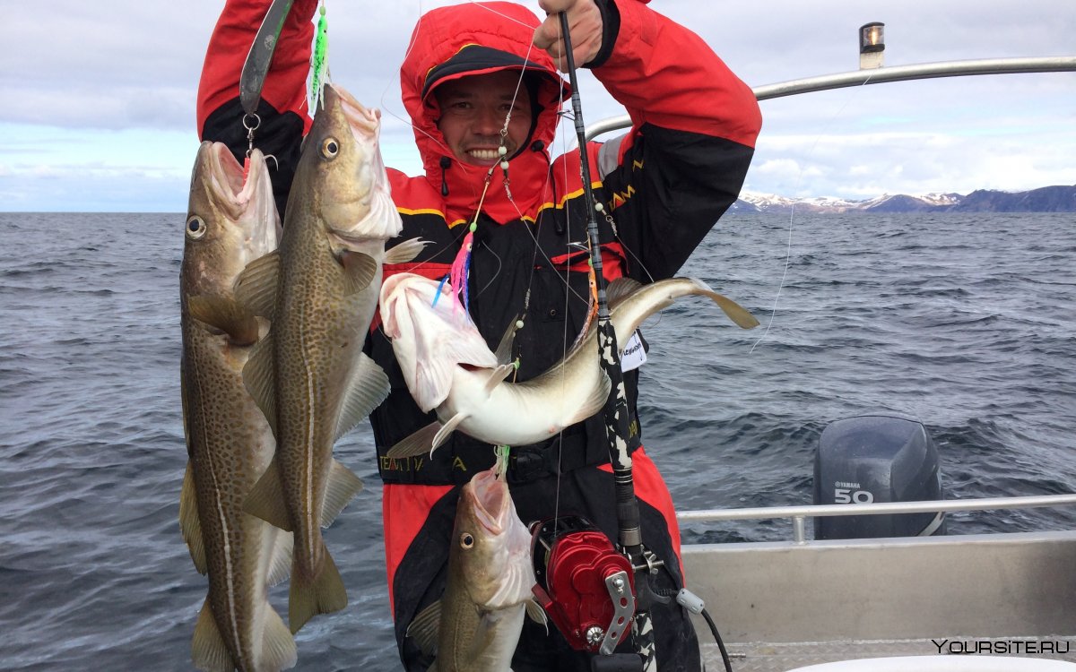 Норвегия рыболовство