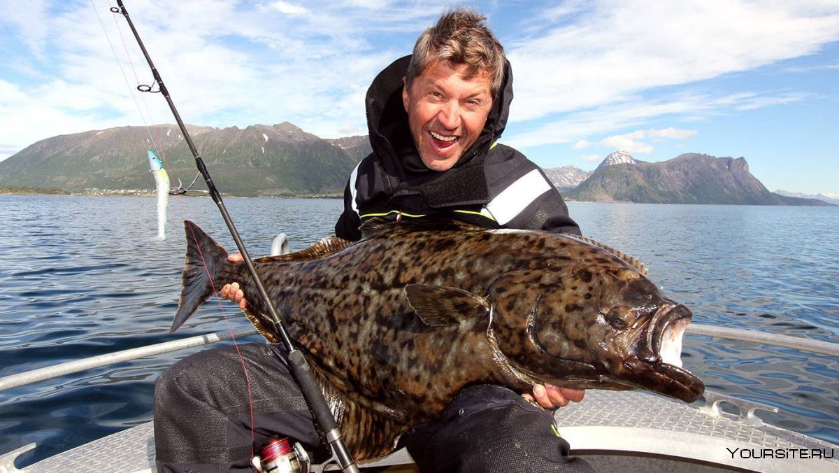 Норвежская рыбалка