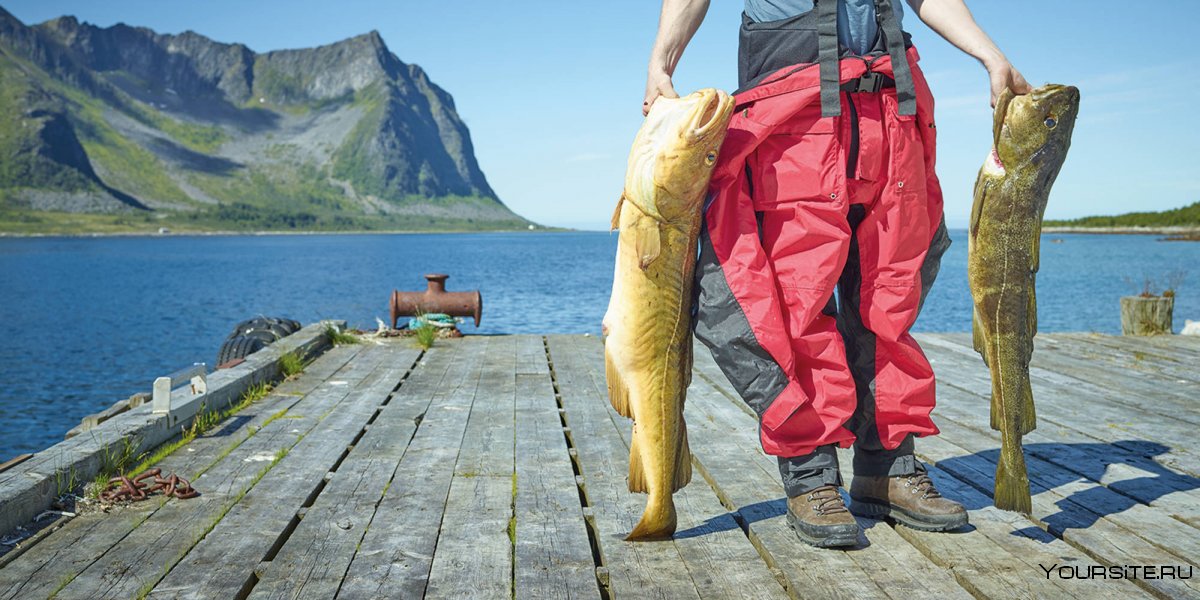 Норвегия рыболовство