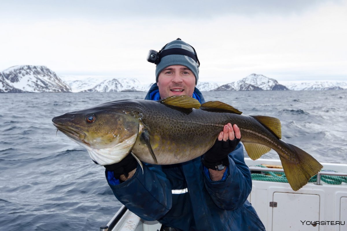 Ловля рыбы в Норвегии