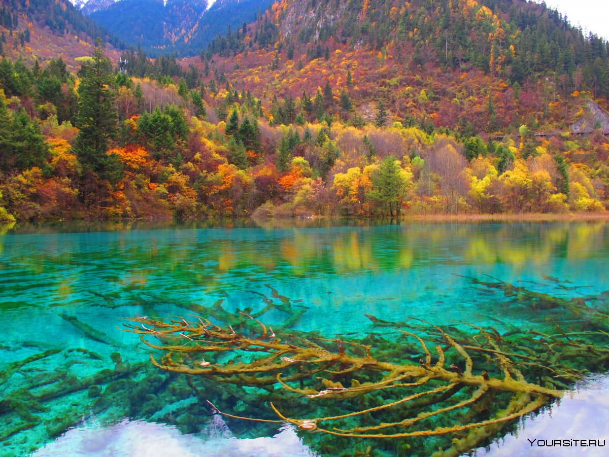 Долина Цзючжайгоу Китай осень