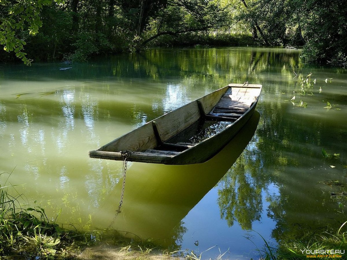 Лодка на пруду