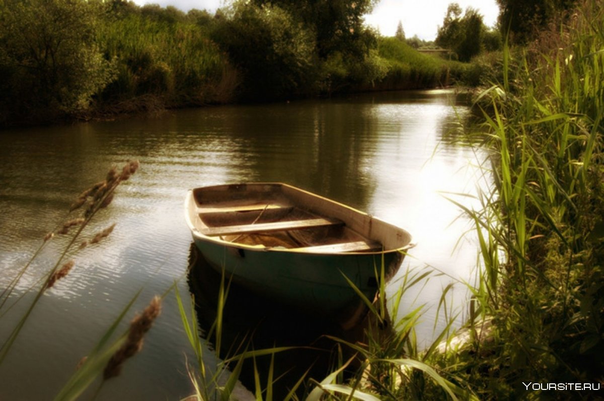 Лодка на пруду
