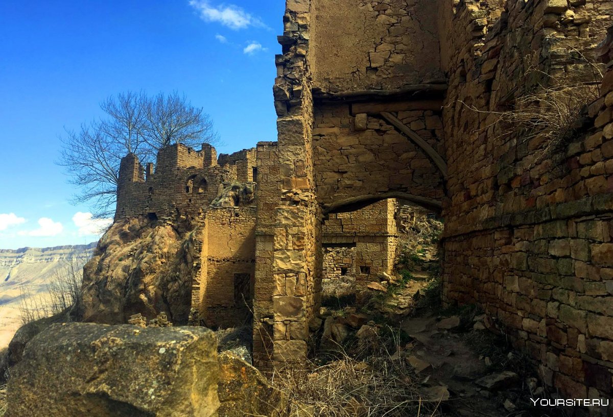 Гамсутль село призрак с птич палета